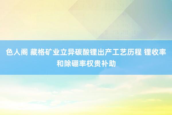 色人阁 藏格矿业立异碳酸锂出产工艺历程 锂收率和除硼率权贵补助