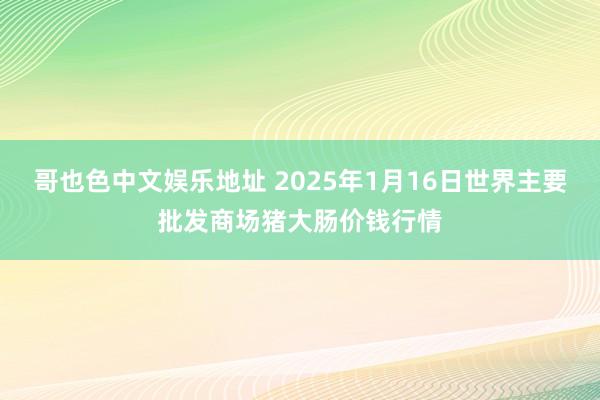 哥也色中文娱乐地址 2025年1月16日世界主要批发商场猪大肠价钱行情