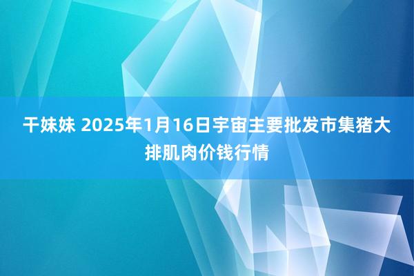 干妹妹 2025年1月16日宇宙主要批发市集猪大排肌肉价钱行情