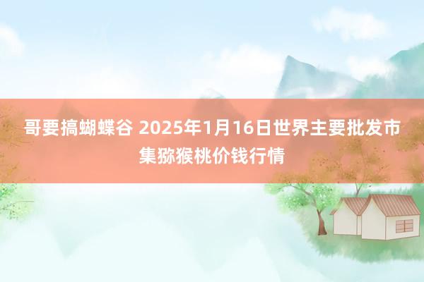 哥要搞蝴蝶谷 2025年1月16日世界主要批发市集猕猴桃价钱行情