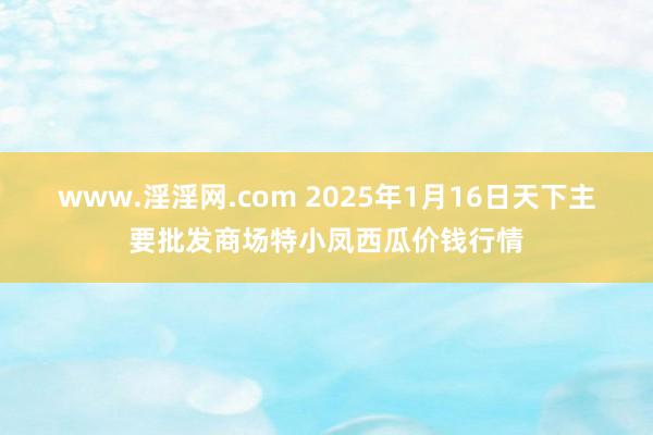 www.淫淫网.com 2025年1月16日天下主要批发商场特小凤西瓜价钱行情