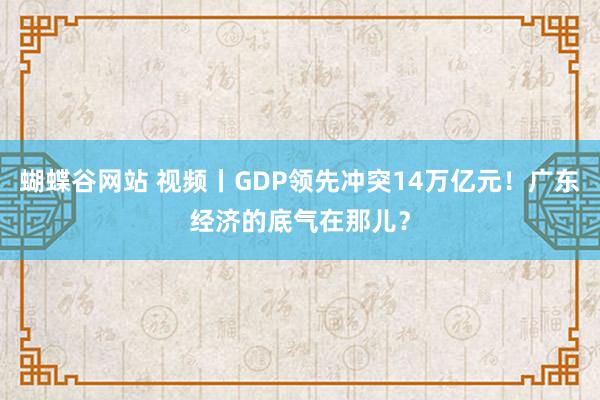 蝴蝶谷网站 视频丨GDP领先冲突14万亿元！广东经济的底气在那儿？